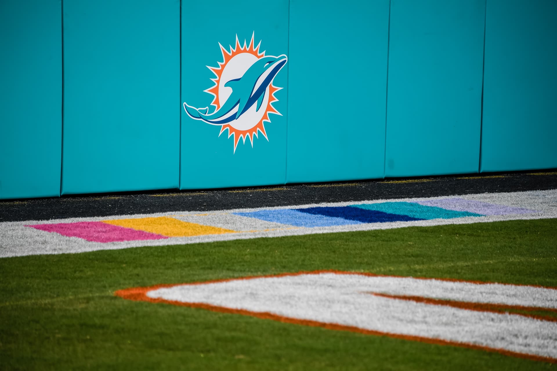Dolphins side wall