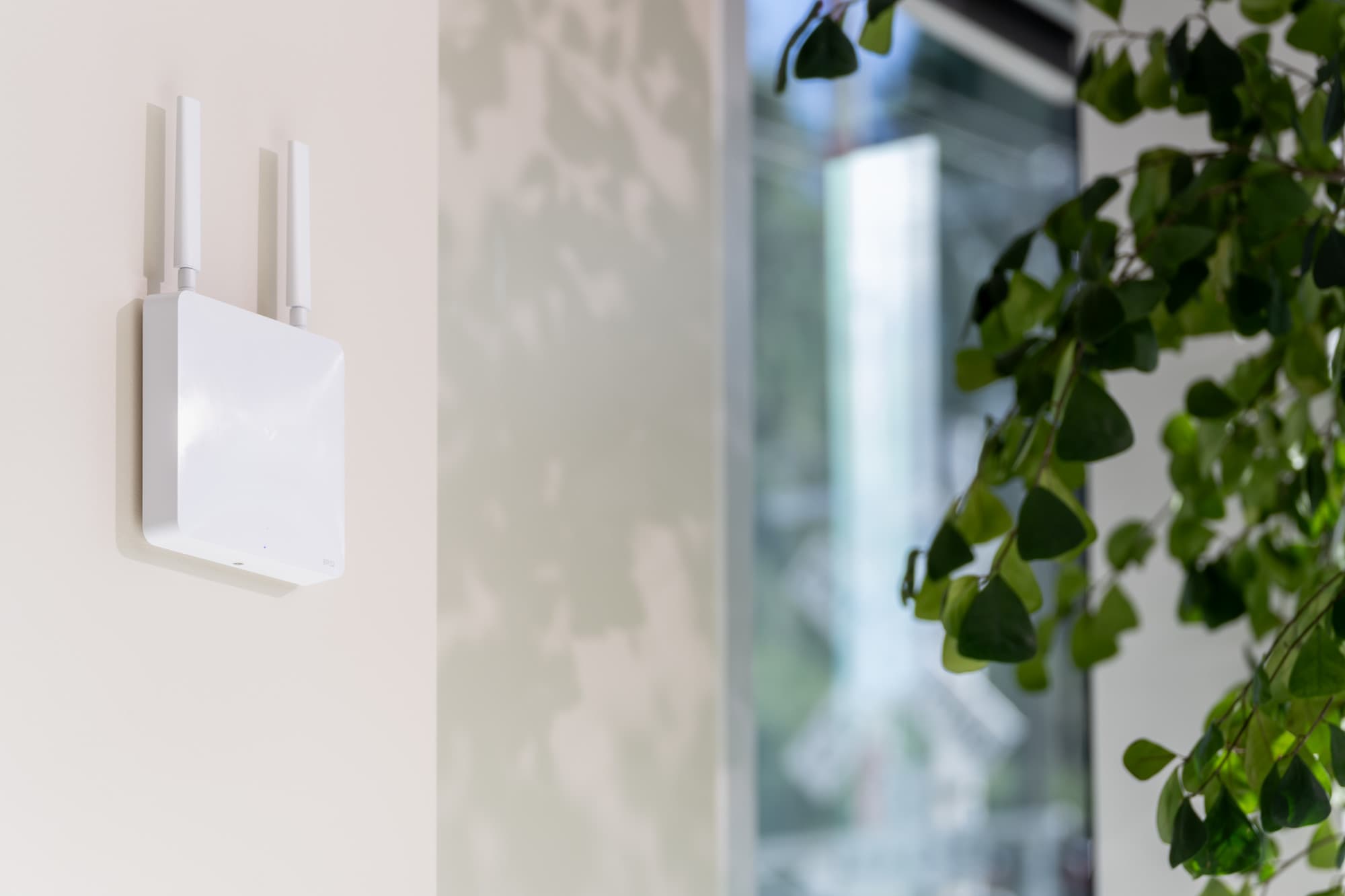 BP32 in store environment