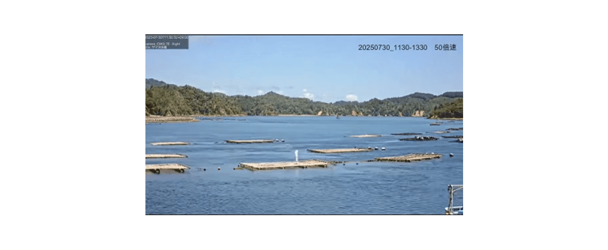 気仙沼市様:カメラ映像