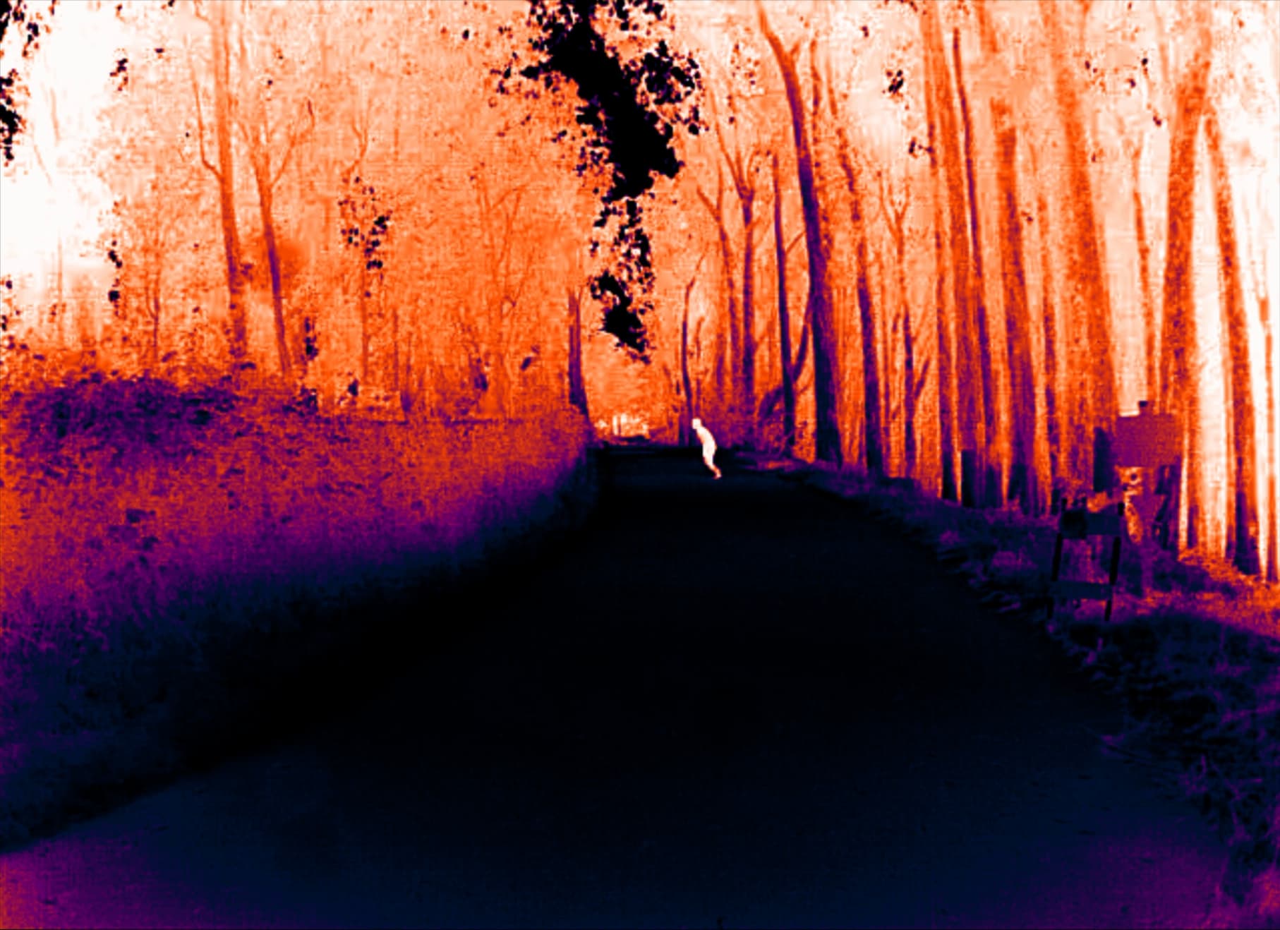 Thermal Camera Footage